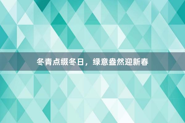 冬青点缀冬日，绿意盎然迎新春